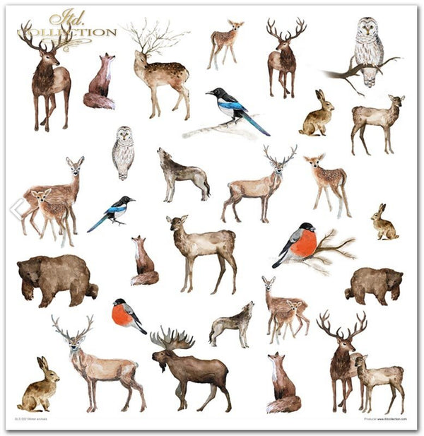 Scrapbooking-Papier Set Winter Animals 10 Stk/Pkg. 30x30cm 200g