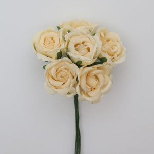Kletterrose Mirabelle, 28 mm, 6 Stück/Bund