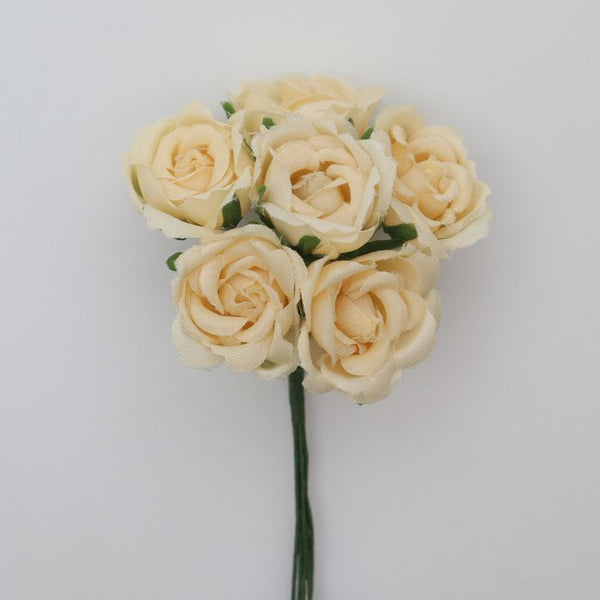Kletterrose mirabelle 28mm 6 Stück/Bund