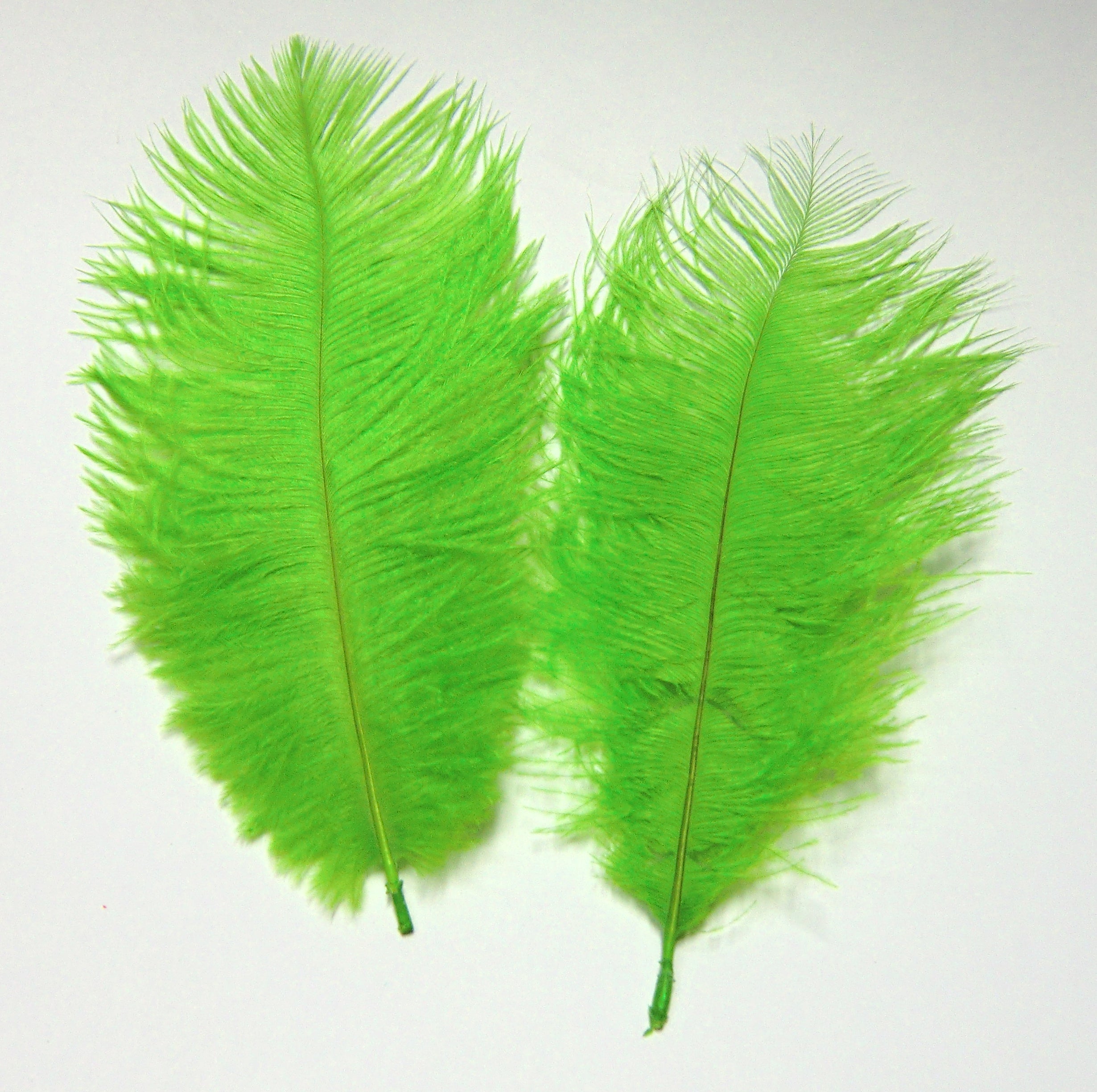 Straußen-Federn ca. 20 cm, 2 Stück/Pkg., apfelgrün