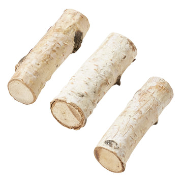 Birkenholz Stämmchen ca. 6cm 4 Stück