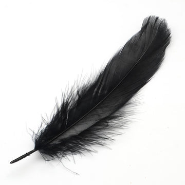 Indianerfedern schwarz, 14-21 cm lang, 20 Stück, Gänsefedern (15-37mm breit) Dekofedern Bastelfedern