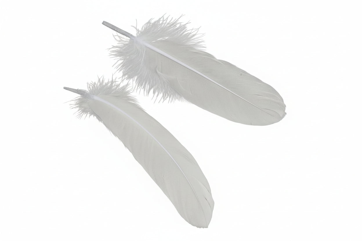Gänsefedern weiß 15-21 cm lang (15-37mm breit) 20 Stück