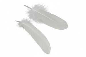 Gänsefedern weiß 15-21 cm lang (15-37mm breit) 20 Stück