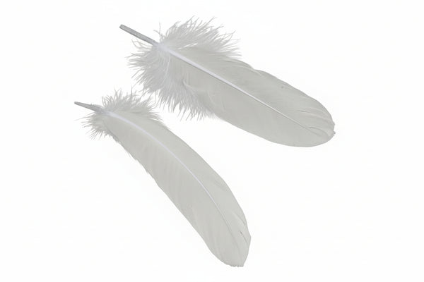 Gänsefedern weiß 15-21 cm lang (15-37mm breit) 20 Stück