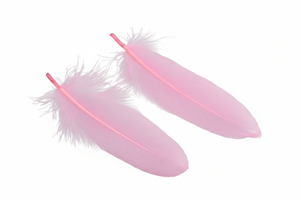 Bastelfedern Gänsefeder rosa 14-21cm lang (15-37mm breit) 20 Stück