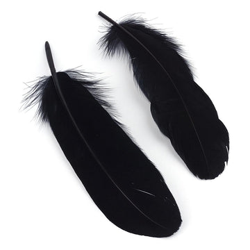 Indianerfedern schwarz, 14-21 cm lang, 20 Stück, Gänsefedern (15-37mm breit) Dekofedern Bastelfedern