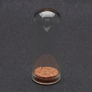 Glass Dome mit Kork Glaskuppel 71x30mm