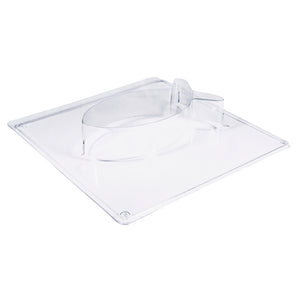 Gießform Fisch Kunststoff PET 19x9,8x4cm