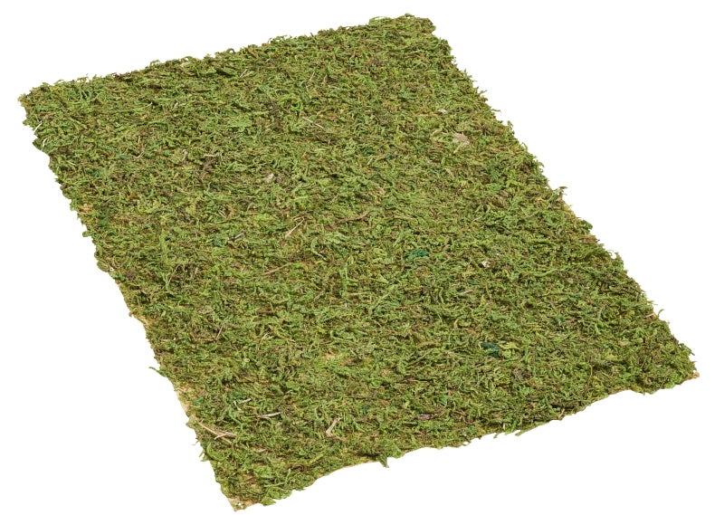 Matte Moos-Optik 20x30cm Grasmatte Kunstrasen Künstliches Gras Moosplatte