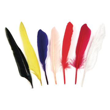 Indianerfeder Mix bunt 17,5cm 12 Stück