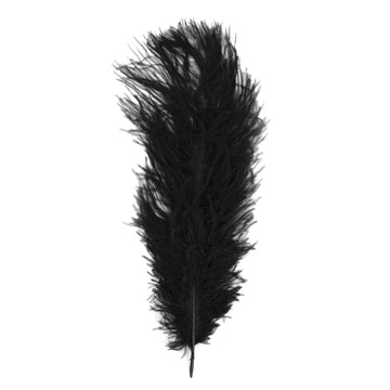 Straußenfeder 30cm
