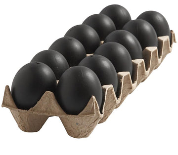 Ostereier Plastikeier 6cm schwarz Ostereier 12 Stück im Eierkarton