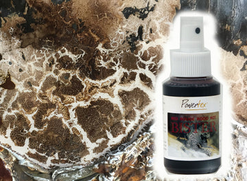 Powertex Bister Spray Patina 100ml