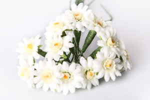 Gerbera mini creme 3cm 6 Stk./Bd.