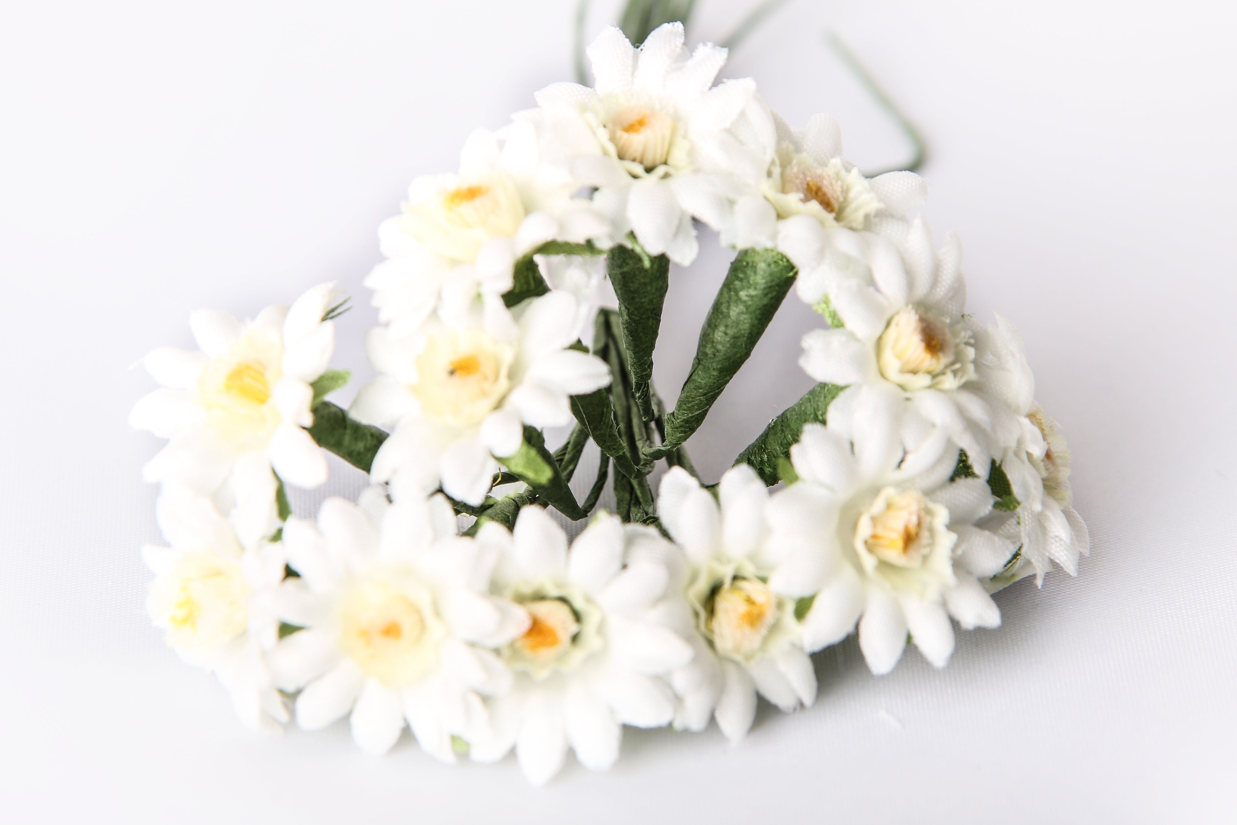 Gerbera mini creme 3cm 6 Stk./Bd.