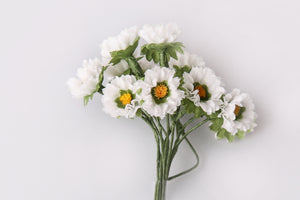 Gänseblümchen im Bund 12 Blüten am Drahtstiel 15 mm