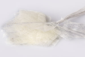 Sizoflor Efeulaub  creme 5x5,5cm 12 Stück/Bund