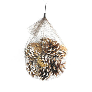 Zapfen natur weiß 4-6cm 10 Stück