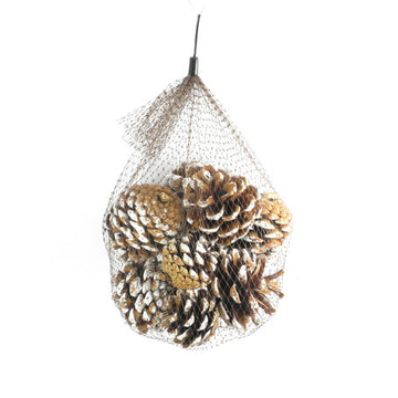 Zapfen natur weiß 4-6cm 10 Stück