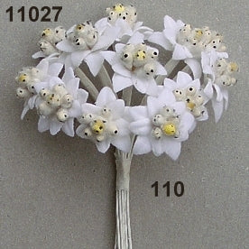 Edelweiß Blüte 22mm weiß 12 Stück/Bund