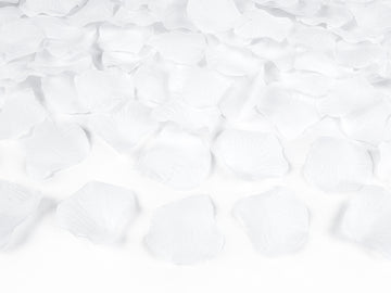 Konfettikanone Rosenblätter weiß Konfetti-Shooter Konfettikanone Streamer