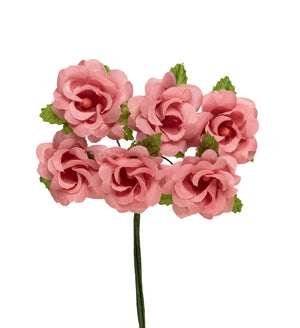 Rose mitteloffen, 30 mm, 6 Stück/Bund