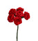 Diorröschen Satinrose rot 2cm 6Stk. pro Bund