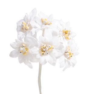 Edelweiß Blüte 22mm weiß 12 Stück/Bund