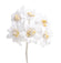 Edelweiß Blüte 22mm weiß 12 Stück/Bund