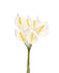 Calla creme 3x15cm 6 Stk. Schaumblume