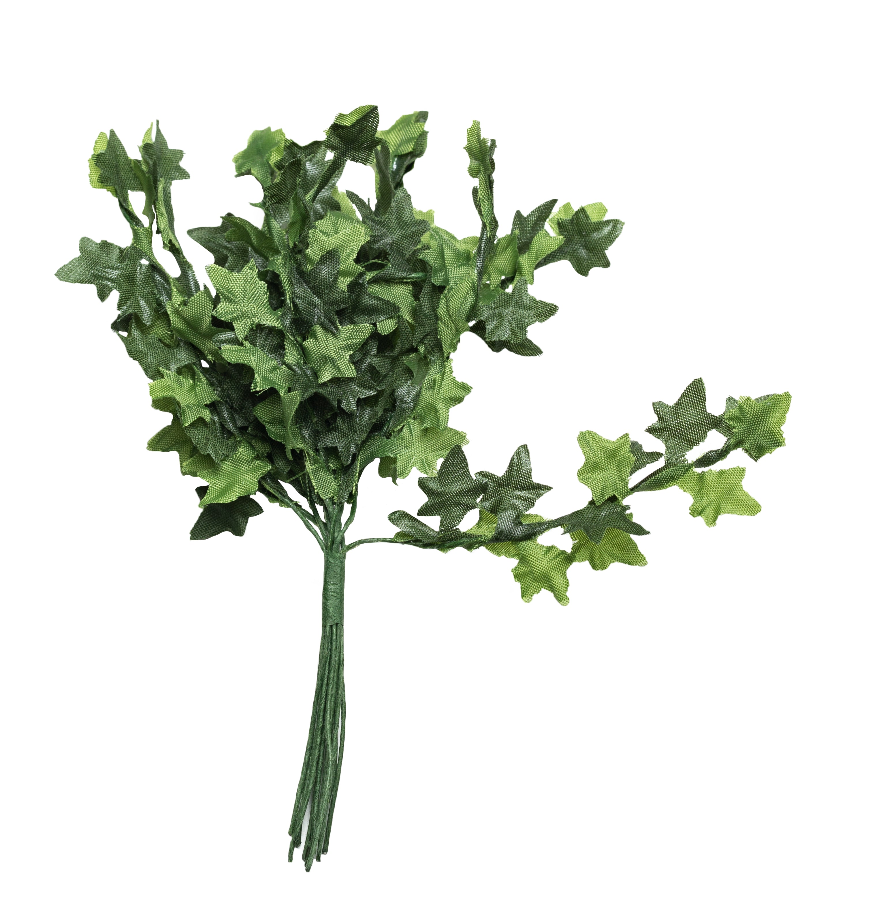Mini-Efeu 2x12cm 12 Äste