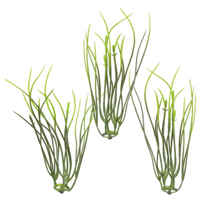 Mini-Gräser 9cm 5 Stk.