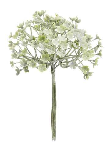Mini-Gewächs 5cm grau-grün Bund a 6 Stück