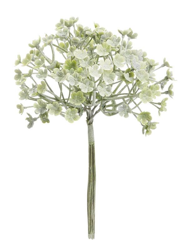 Mini-Gewächs 5cm grau-grün Bund a 6 Stück