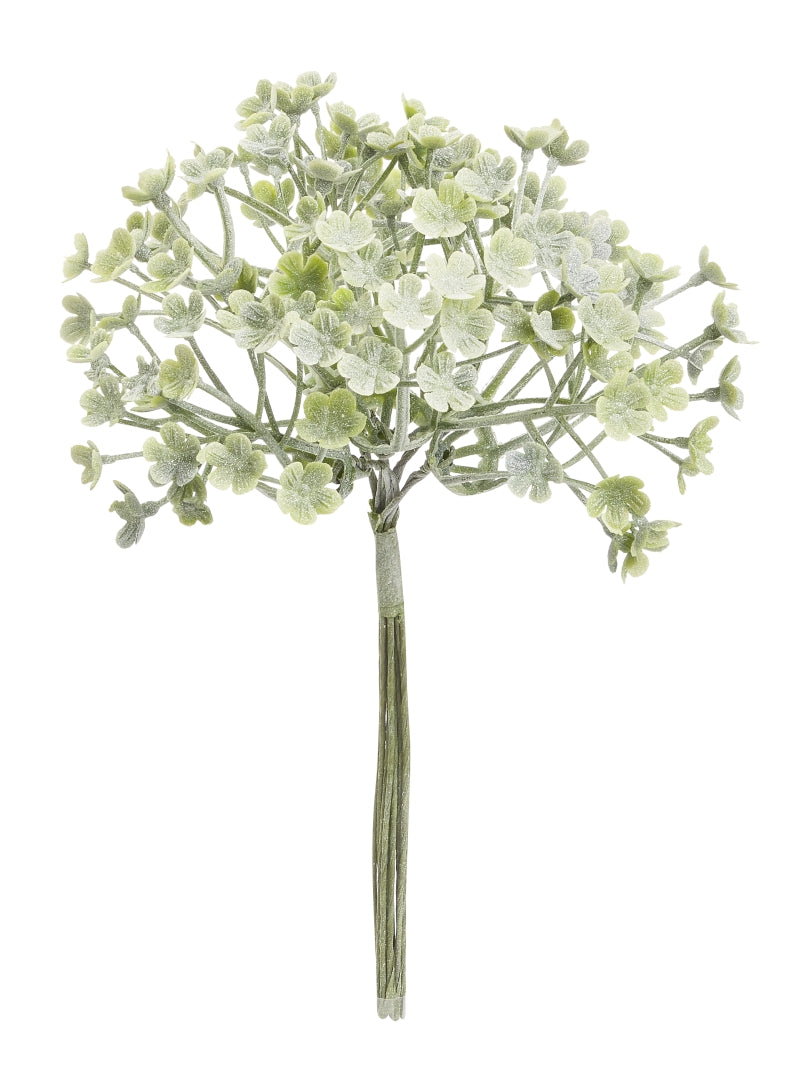 Mini-Gewächs 5cm grau-grün Bund a 6 Stück