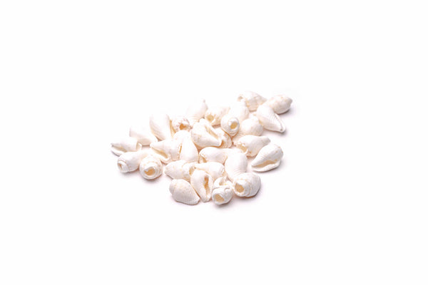 Muschelperle weiss 10mm 30 Stück