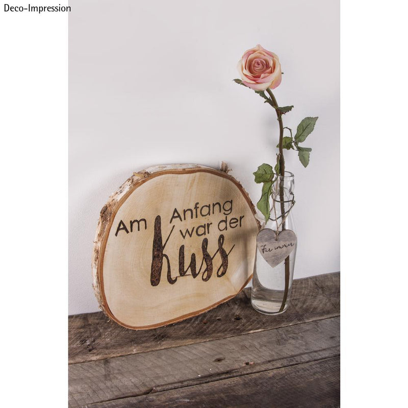 Birkenscheibe 29-32cm Holzscheibe mit Rinde