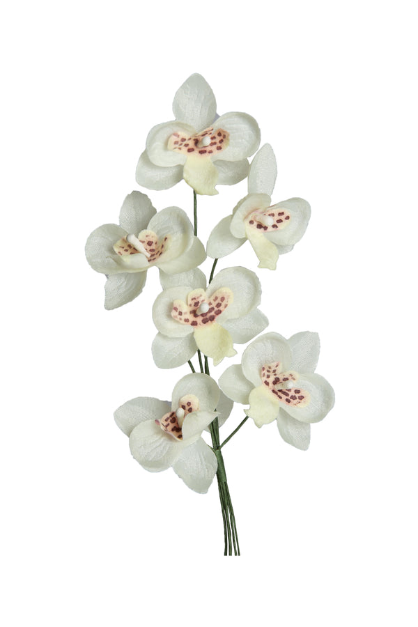 Mini-Orchidee Blüte am Stiel creme 2,5cm 6 Stk./Bund