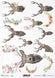 Reispapier A4 Hirschkopf BOHO , Decoupagepapier Rice Paper 25-30g/m2 per Stück