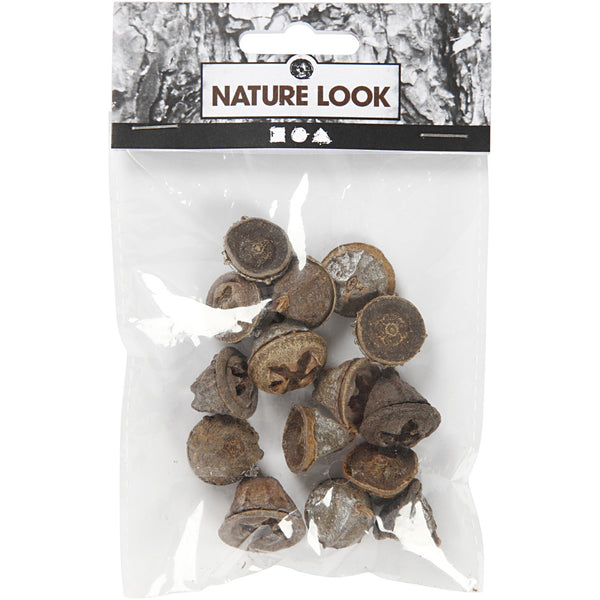 Eukalyptusfrüchte ganz natur 1,5-2,5cm groß 25g 12 Stück
