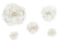 Papierblumen Dekorations Mix, creme, 5 Stück/Pkg (30,20,15,10,10cm)