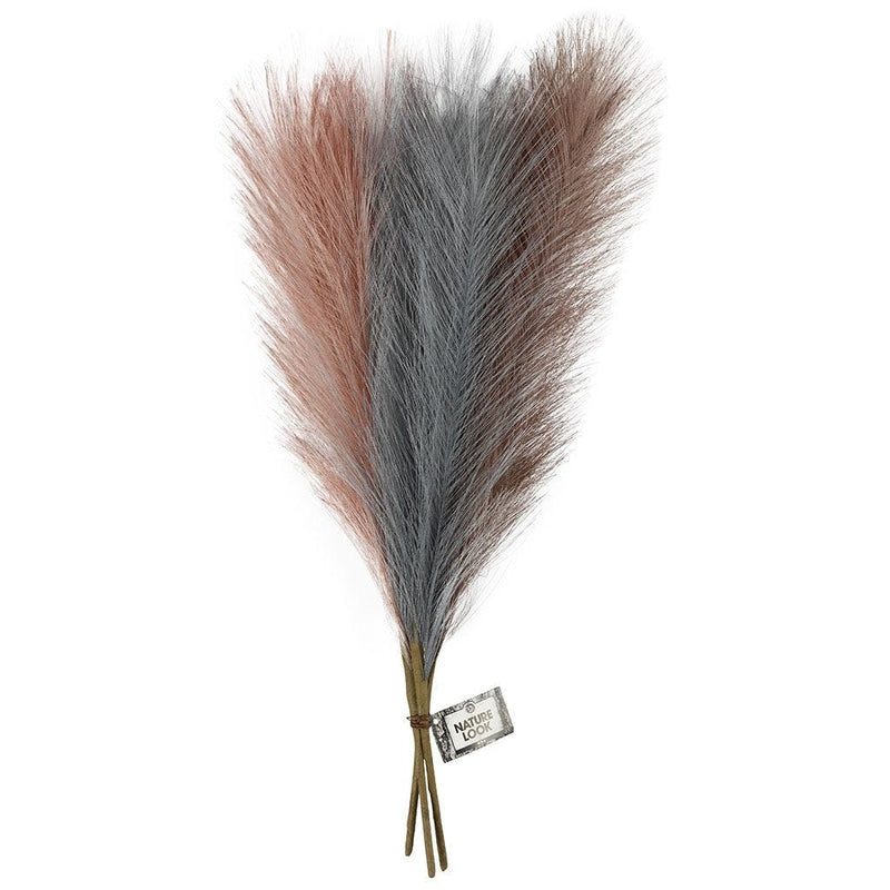 Pampasgras rosé lila blau 50cm 3 Äste