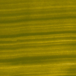 Acrylini Acrylfarbe 22ml