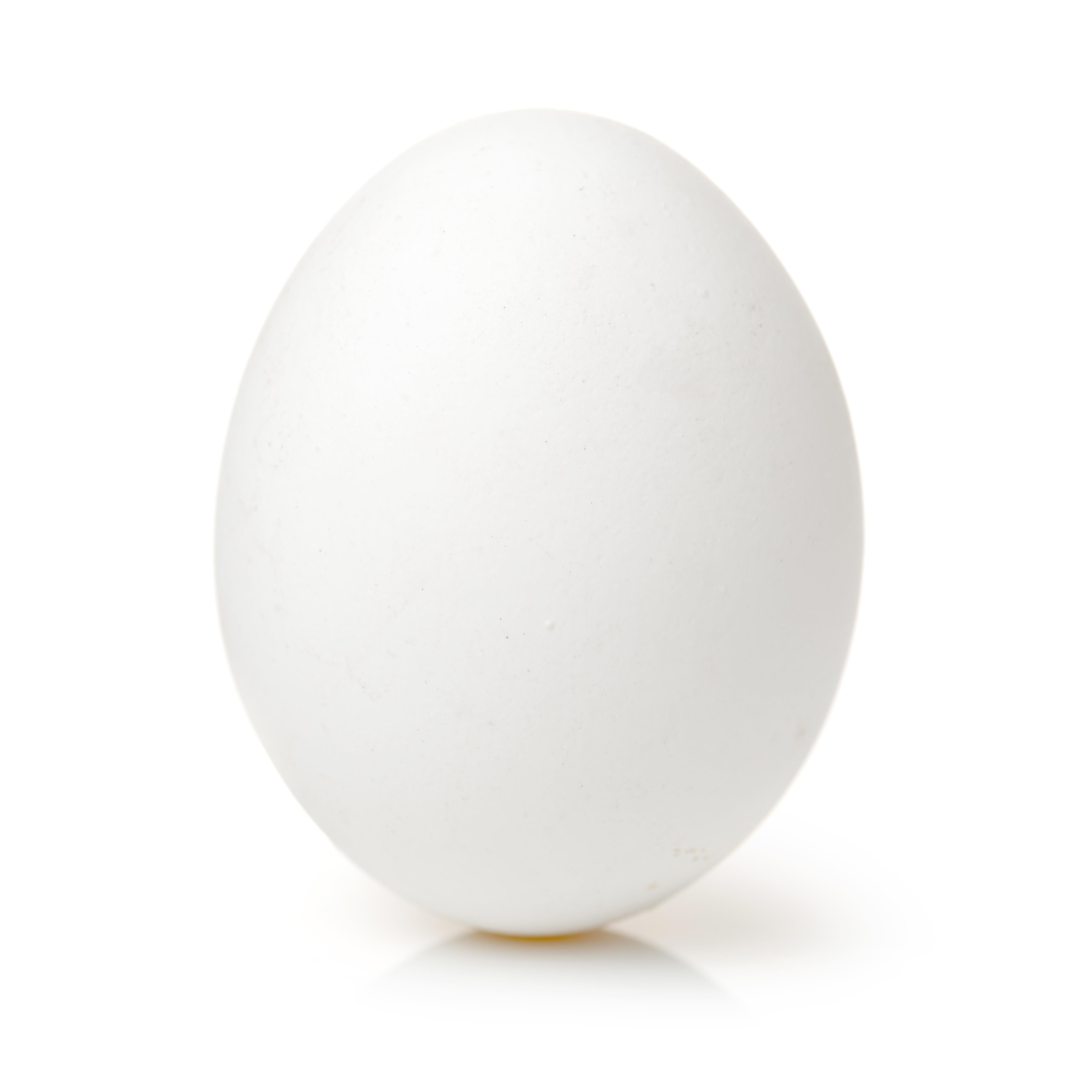 Echte Hühnereier weiss ausgeblasen 12 Stück/Karton