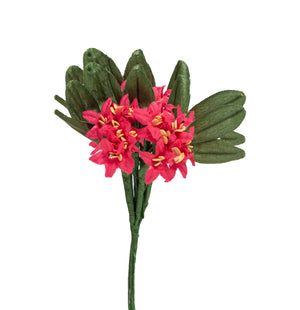 Almrausch-Bund, rosa, 18 m