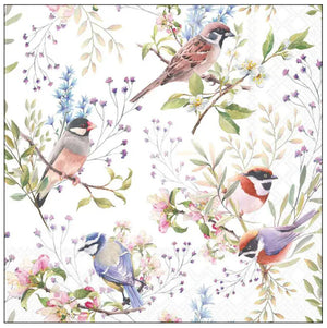 Ambiente Servietten Busy Birds FSC Mix 33x33cm 20 Stück / Packung