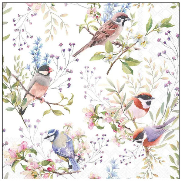 Ambiente Servietten Busy Birds FSC Mix 33x33cm 20 Stück / Packung