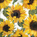 Ambiente Servietten  Sunflower 33x33cm 20Stück