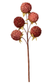 Brombeer-Pick mit Glimmer gold-altrosa 1 Stück